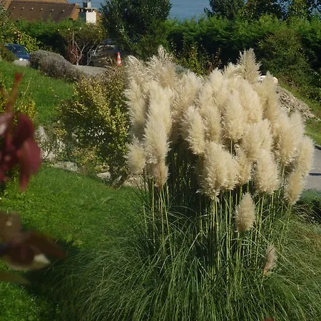 Couette-café Les Coteaux Du Lac *